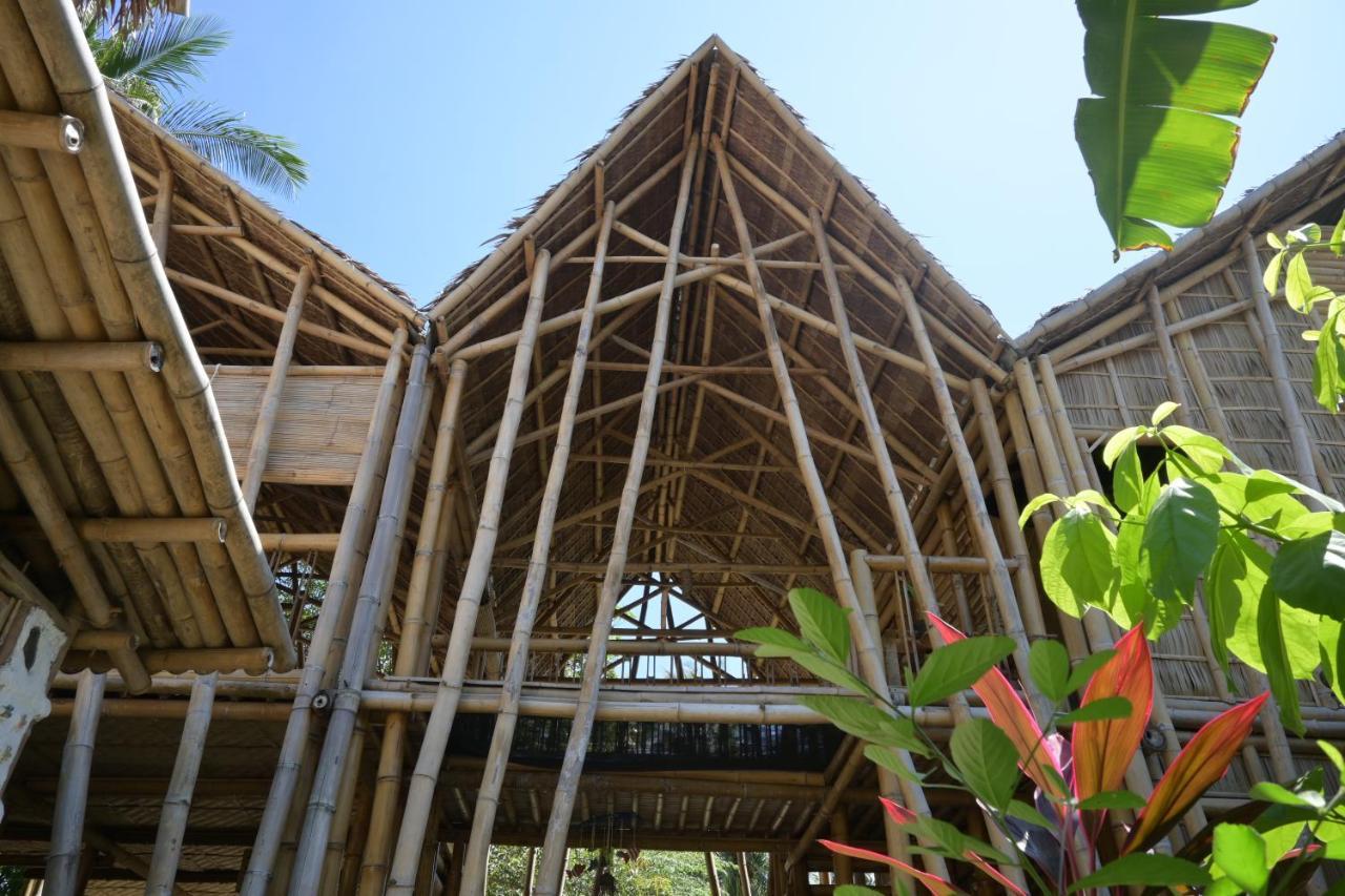 Mango Tree Eco-Hostel Дауин Екстериор снимка